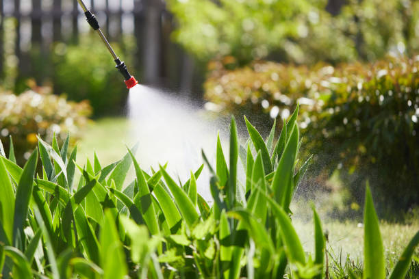 24/7 Emergency Mosquito Control experts in Westway, TX