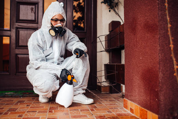 Reliable Mosquito Control contractor in Westway, TX by Show Me Pest Control